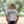 BUCK EM VARSITY (T-Shirt)