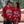 Buck Em Jersey (Red)