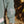 GRATEFUL COWBOY (Embroidered - Faded Blue Crew)