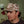 Dog'll Hunt Cap