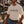Palaka Script Tee
