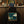 Ahi Hoodie