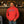 Buck Em Flag Hoodie