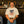 For the Love of Rodeo Tee